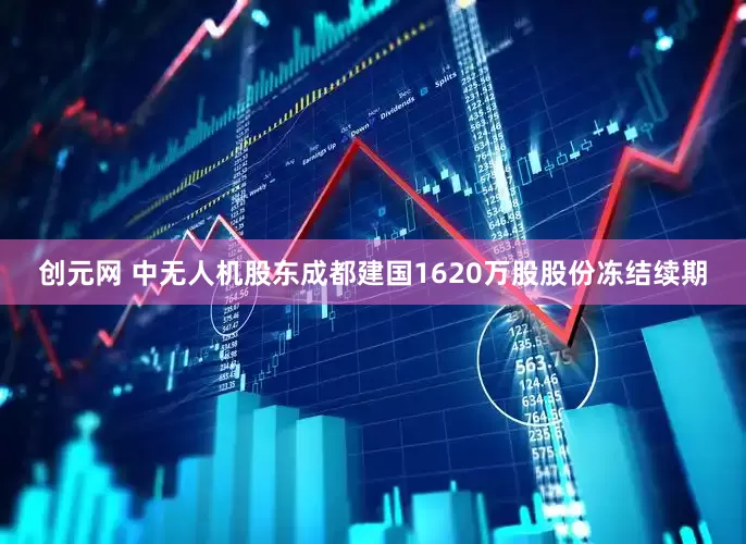 创元网 中无人机股东成都建国1620万股股份冻结续期
