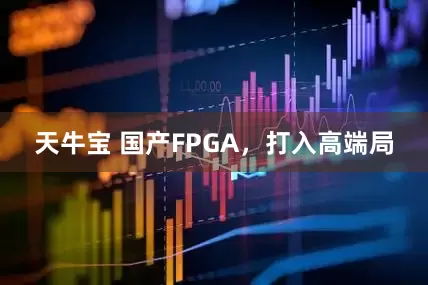 天牛宝 国产FPGA，打入高端局