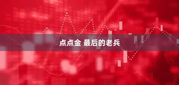 点点金 最后的老兵