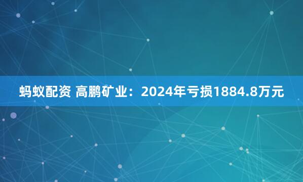 蚂蚁配资 高鹏矿业：2024年亏损1884.8万元